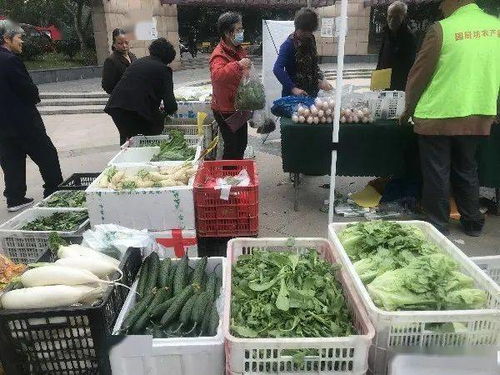 便捷與實(shí)惠并行 高品質(zhì)農(nóng)產(chǎn)品進(jìn)社區(qū)，守護(hù)市民餐桌健康
